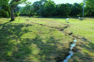 017-1_是川石器時代遺跡（低湿地